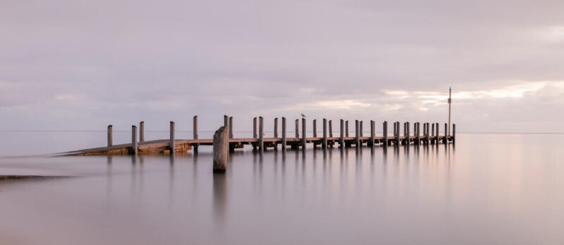 Theme_Phil Ashton - Gold