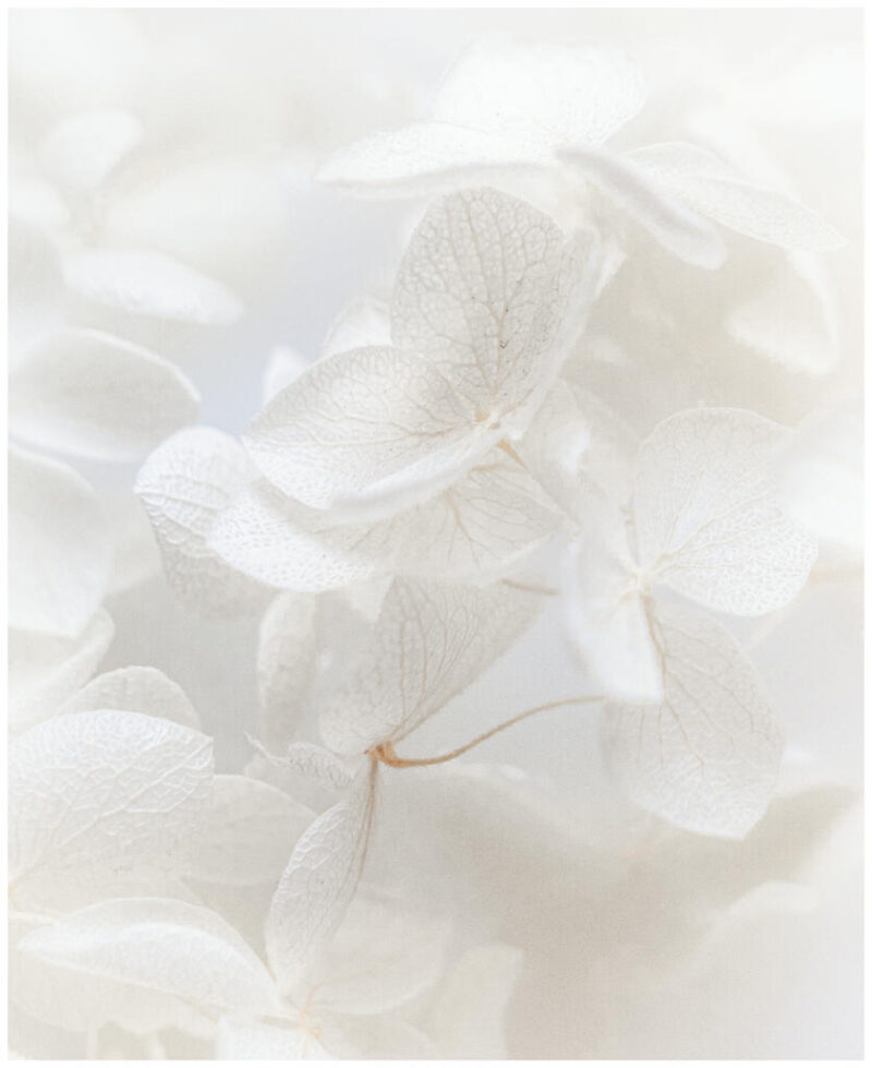 Theme_Modified_Alex Nesbitt - Gold