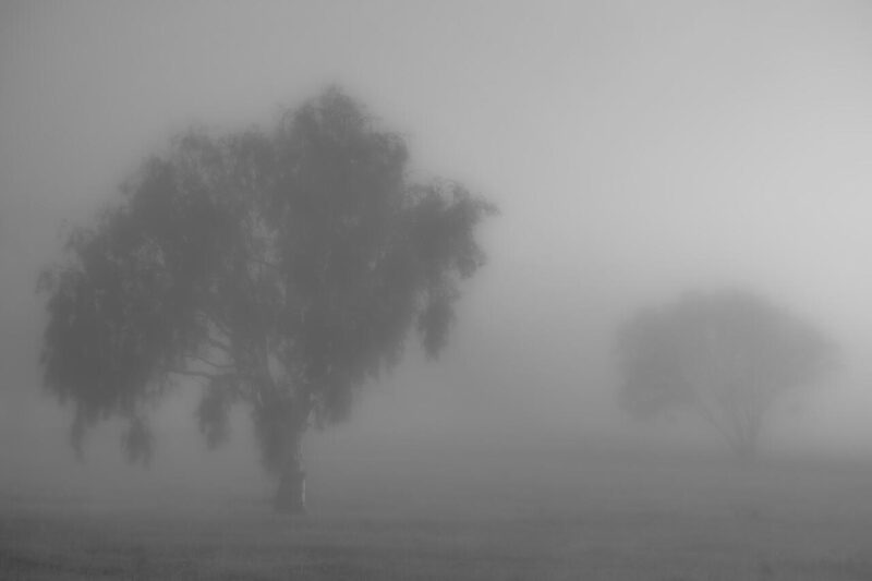 Theme_Modified_Alex Nesbitt - Gold