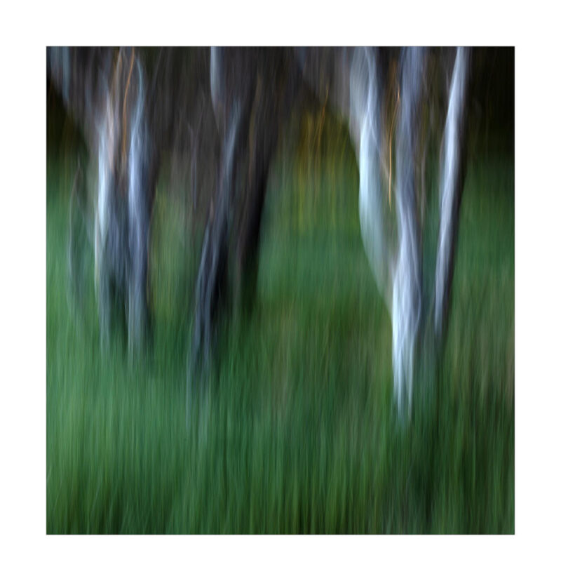 Open_Modified_Alice Worswick - Gold