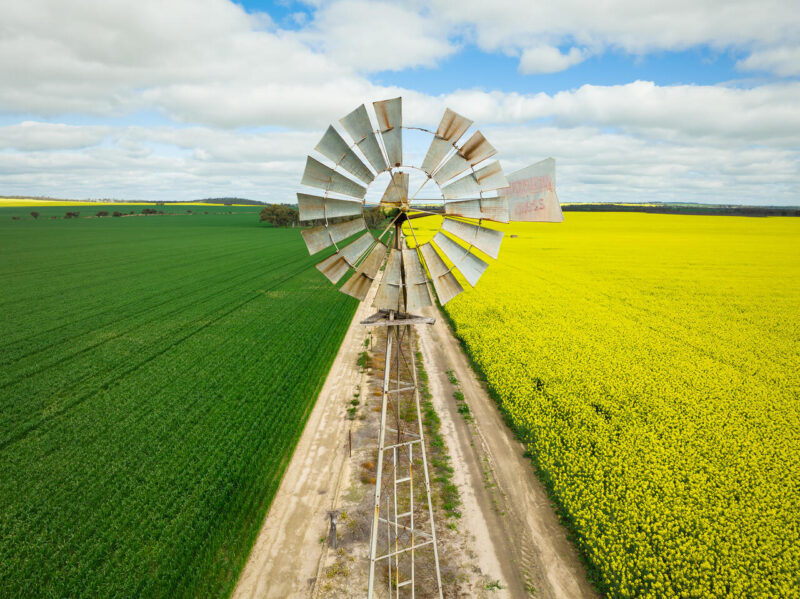 Theme_Modified_Ian Mills - Gold