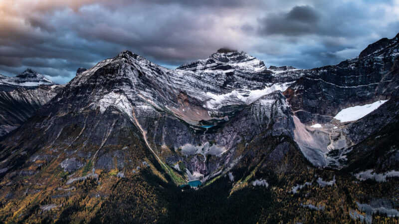 Open_Modified_Ian Mills - Gold