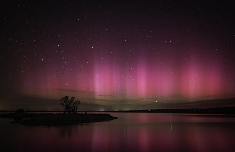 Theme_Modified_Pamela Punshon - Gold