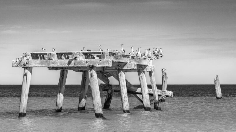 Theme_Modified_Leanne Masson - Gold