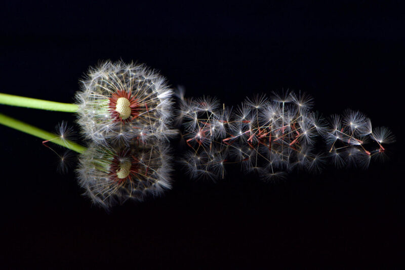 Theme_Merrelyn Hunter - Gold