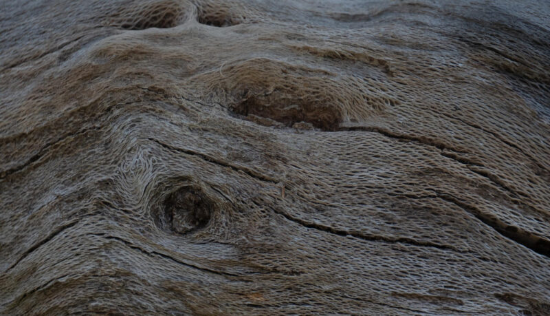 Digital_Print_Iain Riley