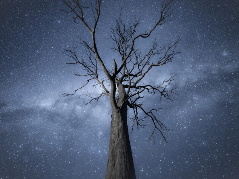 Theme_Ian Mills - Gold