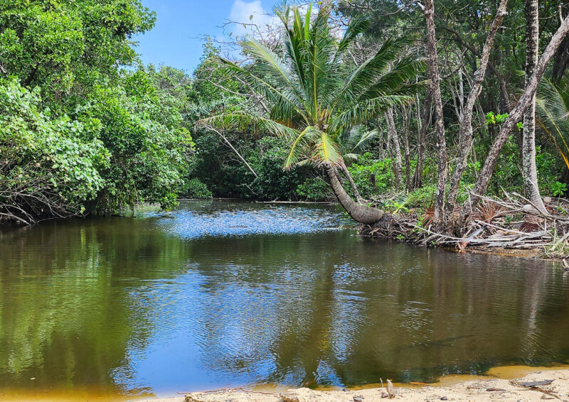 Digital_Print_John Lutz