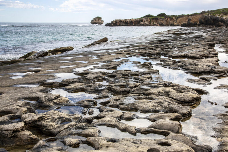 Digital_Print_Sarah Samela