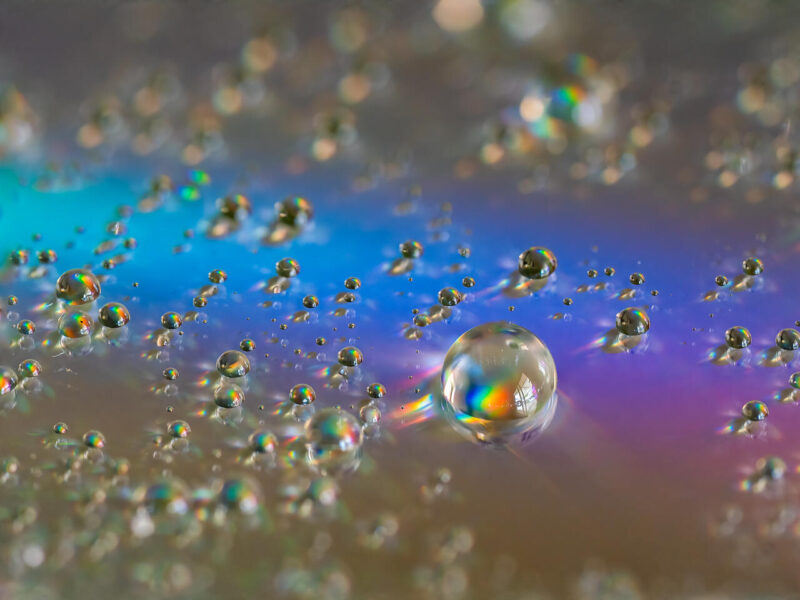 Digital Print_Lubin Dinnie